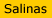 Salinas